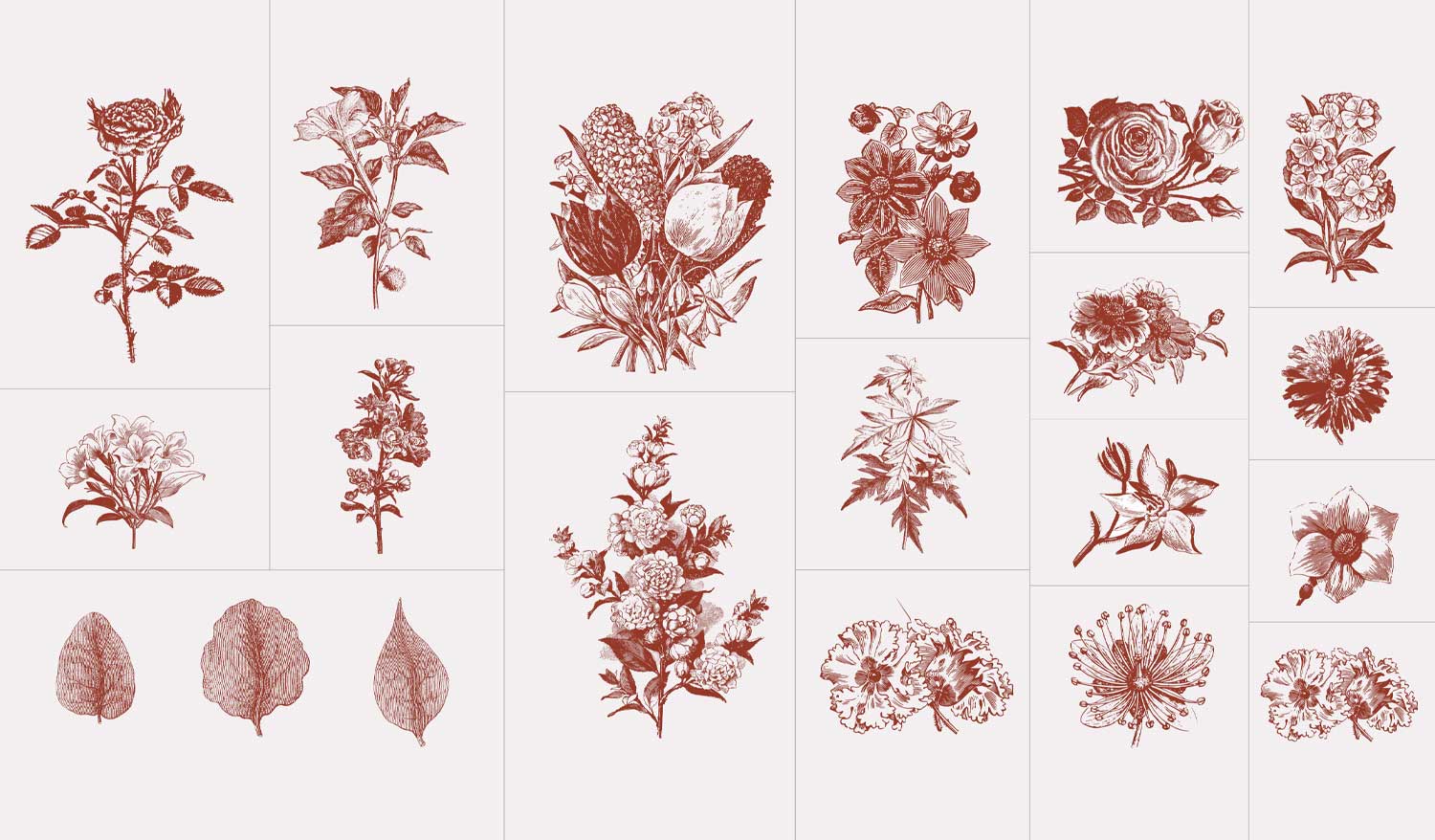 pascal maurand design graphique - graphiste - Vendée