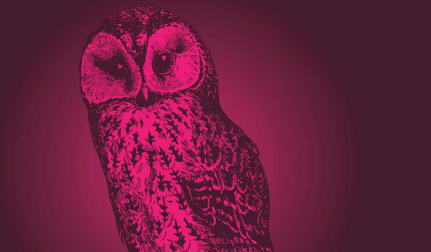 pascal maurand design graphique - graphiste - Vendée