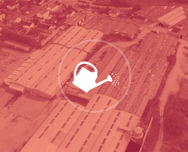 pascal maurand design graphique - graphiste - Vendée