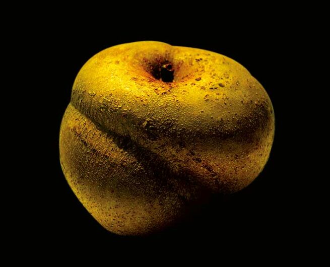 pascal maurand design graphique - graphiste - Vendée