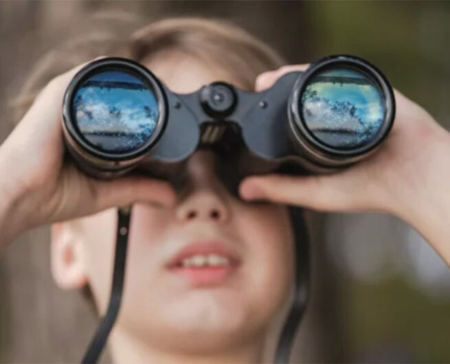 pascal maurand design graphique - graphiste - Vendée