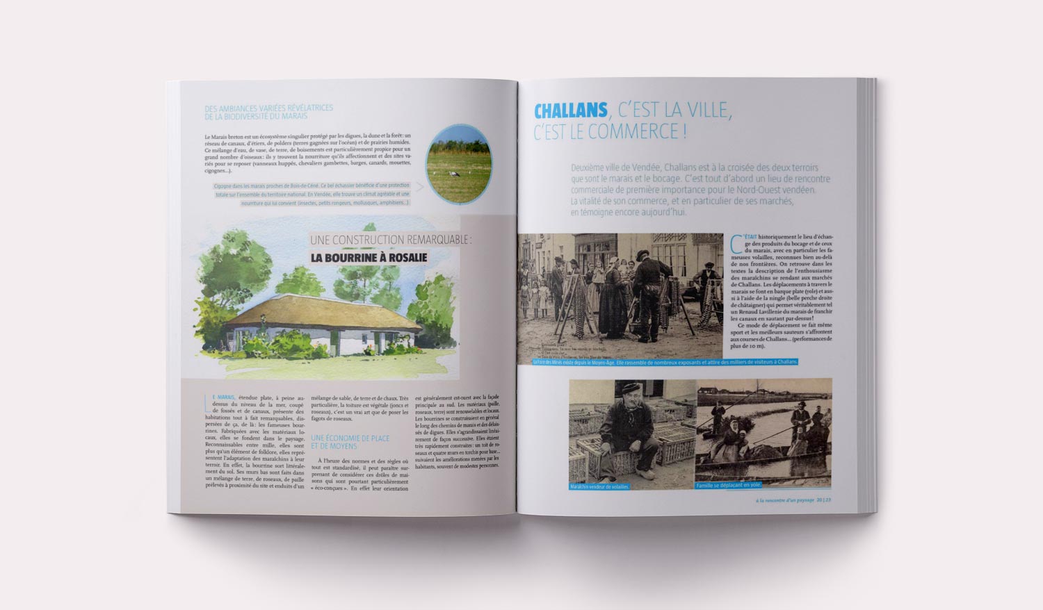 pascal maurand design graphique - graphiste - Vendée